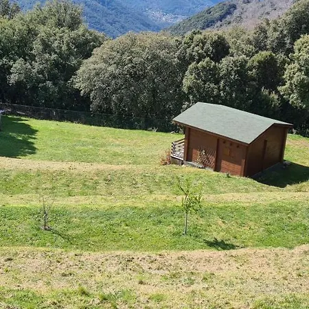 Guest house Casa Sarrinca