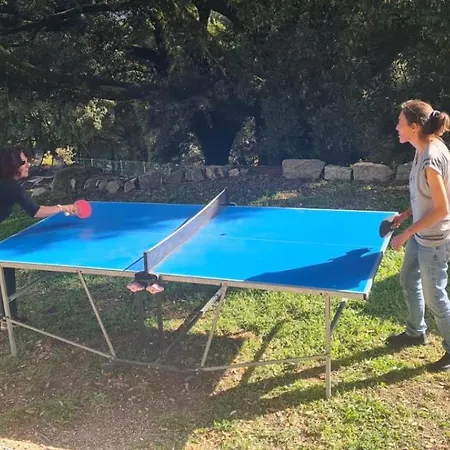 Casa Sarrinca بيت ضيافة 3*